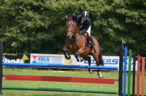 SEO to Promote Equestrian Events