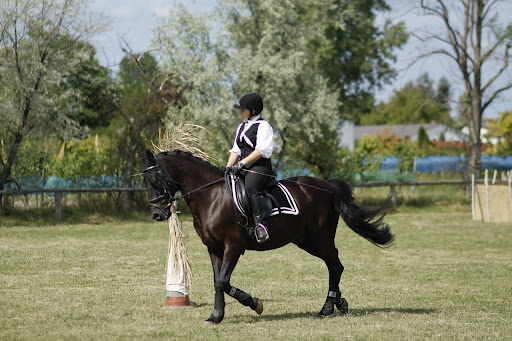 Golf & Dressage Have in Common